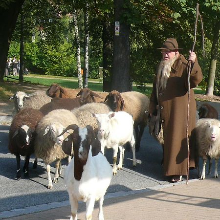 Hotel Kurhaus Jonsdorf Zewnętrze zdjęcie