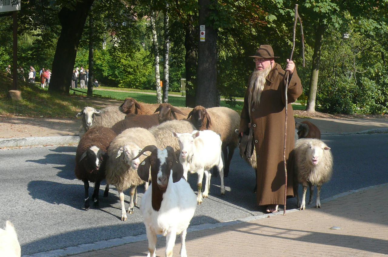 Hotel Kurhaus Jonsdorf Zewnętrze zdjęcie